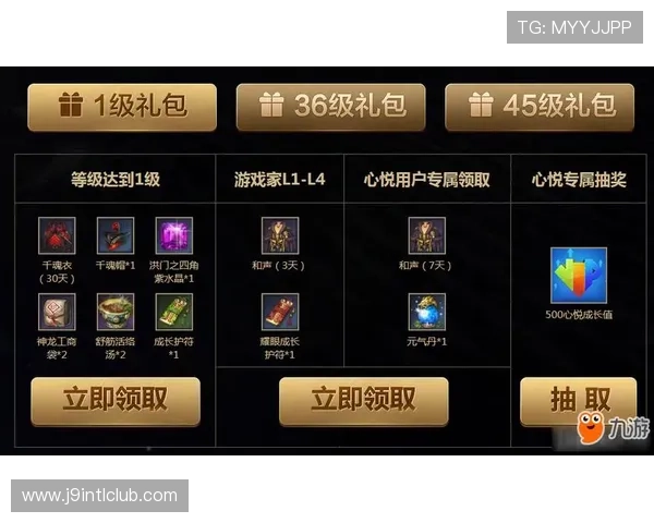 九游娱乐国际VIP会员权益全面介绍享受专属特权提升游戏体验